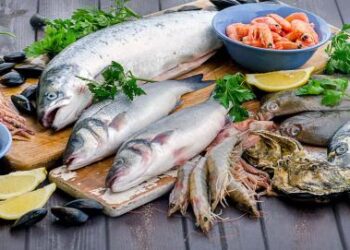 افزایش ماندگاری مواد غذایی با پسماندهای غذاهای دریایی