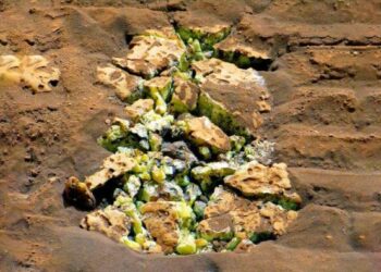 شکستن اتفاقی سنگ در سیاره سرخ توسط مریخ نورد کنجکاوی با یک کشف حیرت انگیز همراه شد