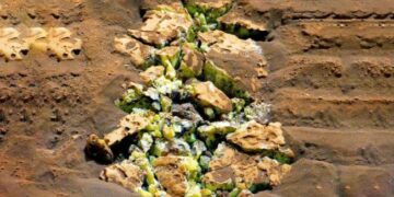 شکستن اتفاقی سنگ در سیاره سرخ توسط مریخ نورد کنجکاوی با یک کشف حیرت انگیز همراه شد