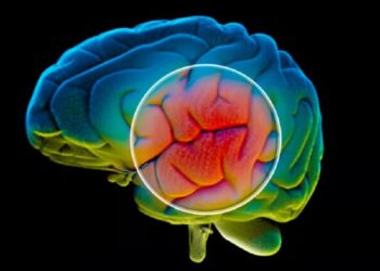 هوش مصنوعی می‌تواند در تشخیص پارکینسون مورد استفاده قرار بگیرد