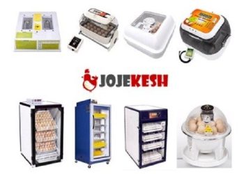 با دستگاه جوجه کشی و تخم نطفه دار صاحب شغل دوم شو