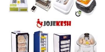 با دستگاه جوجه کشی و تخم نطفه دار صاحب شغل دوم شو