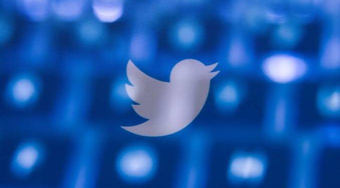 پرنده آبی برگشت؛ Twitter.now با احیای برند توییتر به جنگ ایکس می‌رود